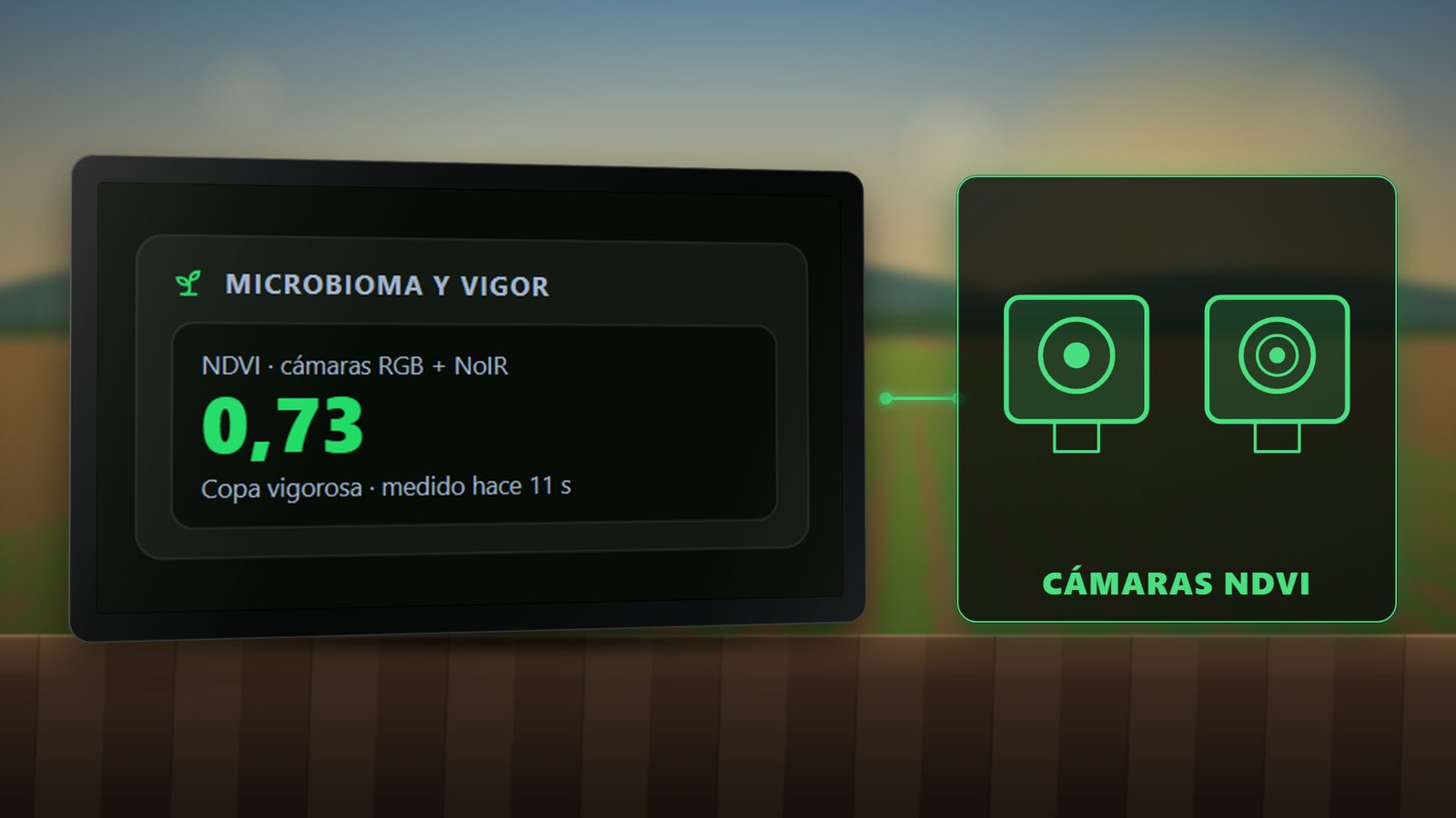 Índice de vigor medido con cámaras.
